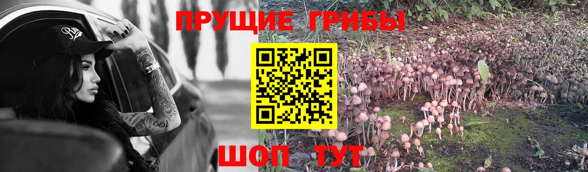 Вейп ТГК Мурманск