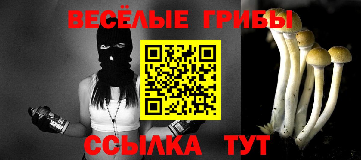 Псилоцибиновые грибы ЛСД  Вход с VPN  Мурманск 