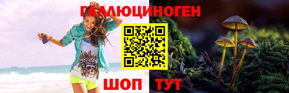 Псилоцибиновые грибы прущие грибы Мурманск